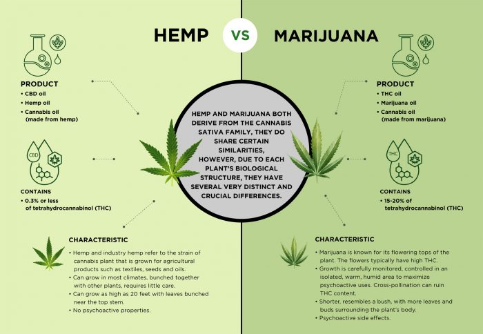 Mesoheal Hemp vs Marijuana